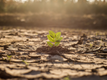 Credibility Gap in Climate Policy